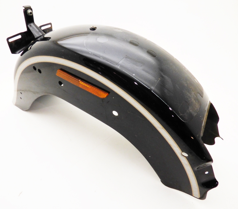 100th Anniversary Fender Rear