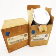 Piston & Rings Set, 91931-99, fits a Harley Davidson Multifit