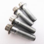 Brake Bolt, 41300056, fits a Harley Davidson Multifit