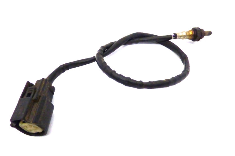 Oxy Sensor Rear