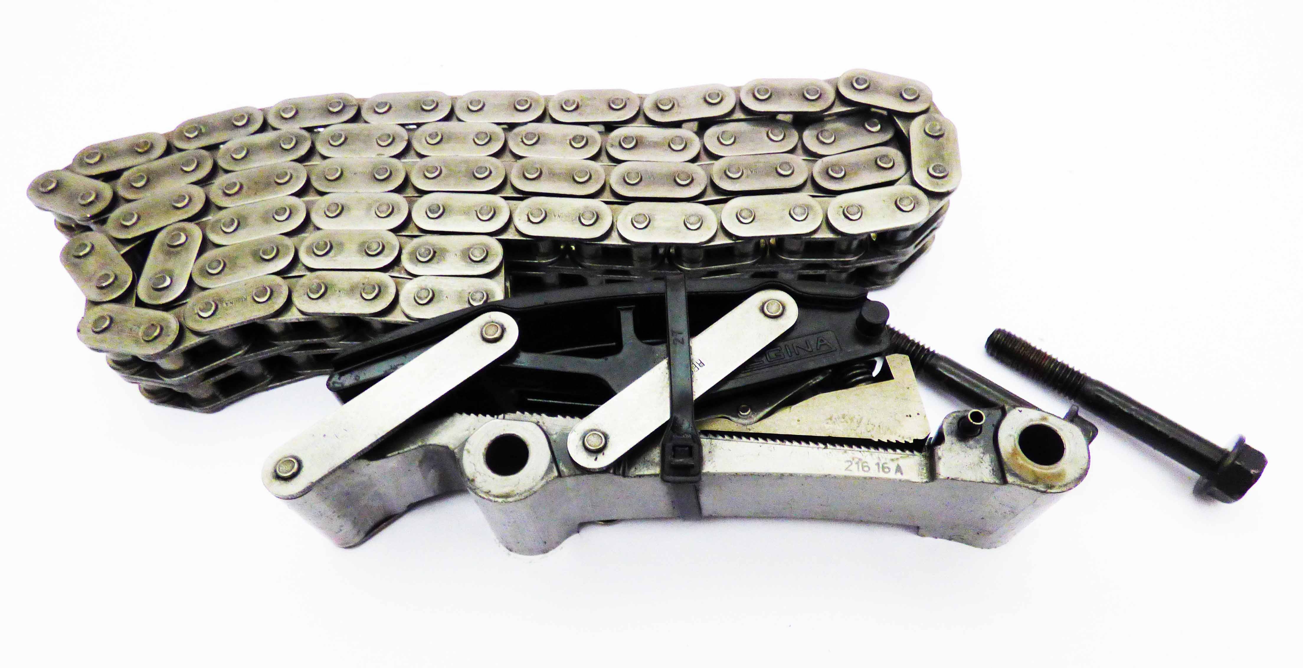 Primary Chain with Tensioner