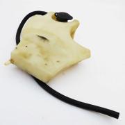 Coolant Bottle, 26803-07A, fits a Harley Davidson V-Rod