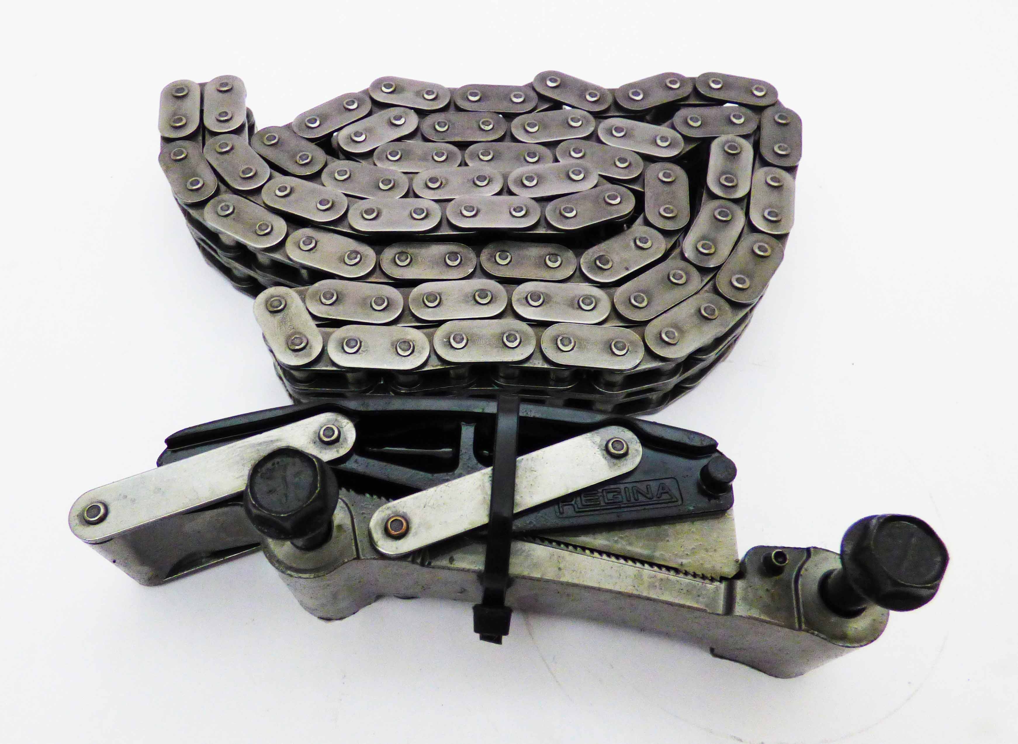 Primary Chain with Adjuster 2000 km done