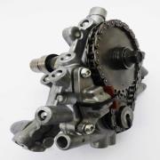 Cam Plate Assembly with Cams / Oil Pump Low Mileage, 25355-06A, fits a Harley Davidson Multifit