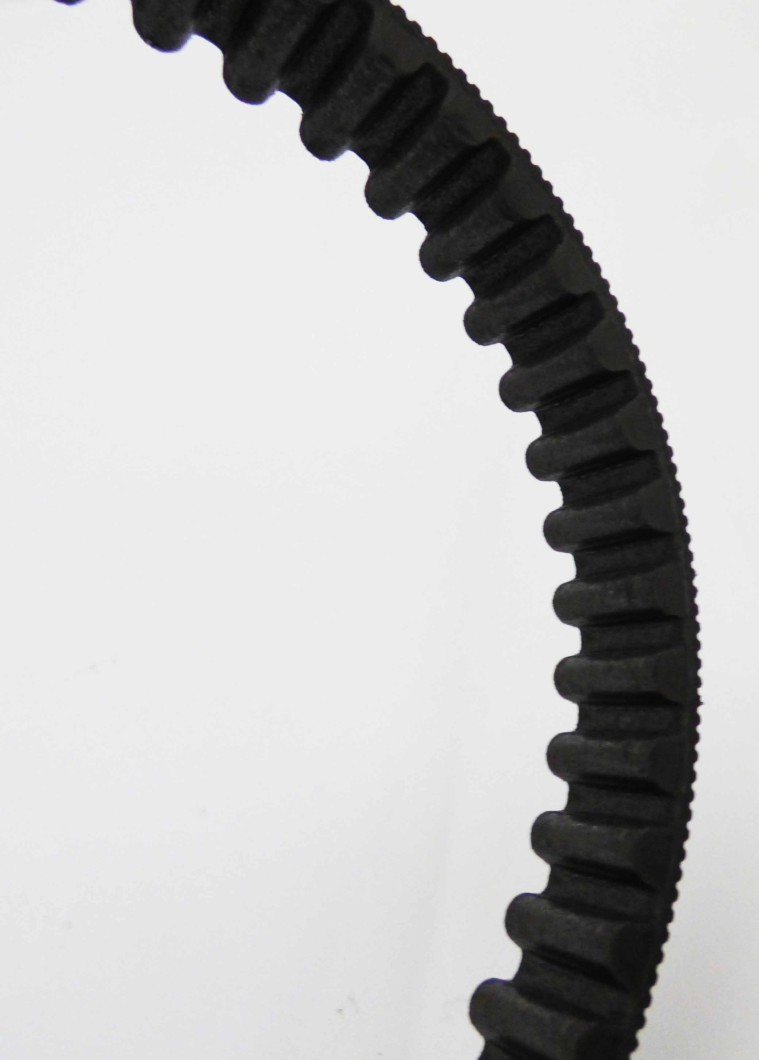 ●THA UNDA DOWNTOWN | | Belt 131 Teeth
