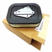 Air Filter, 29331-04, fits a Harley Davidson Sportster '04 - '13