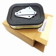 Air Filter, 29331-04, fits a Harley Davidson Sportster '04 - '13