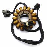 Stator Alternator, 29900064, fits a Harley Davidson Street